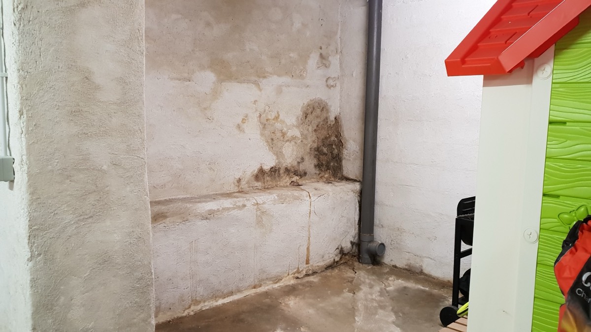 Infiltrations d'eau - Expertise humidité à Verdun